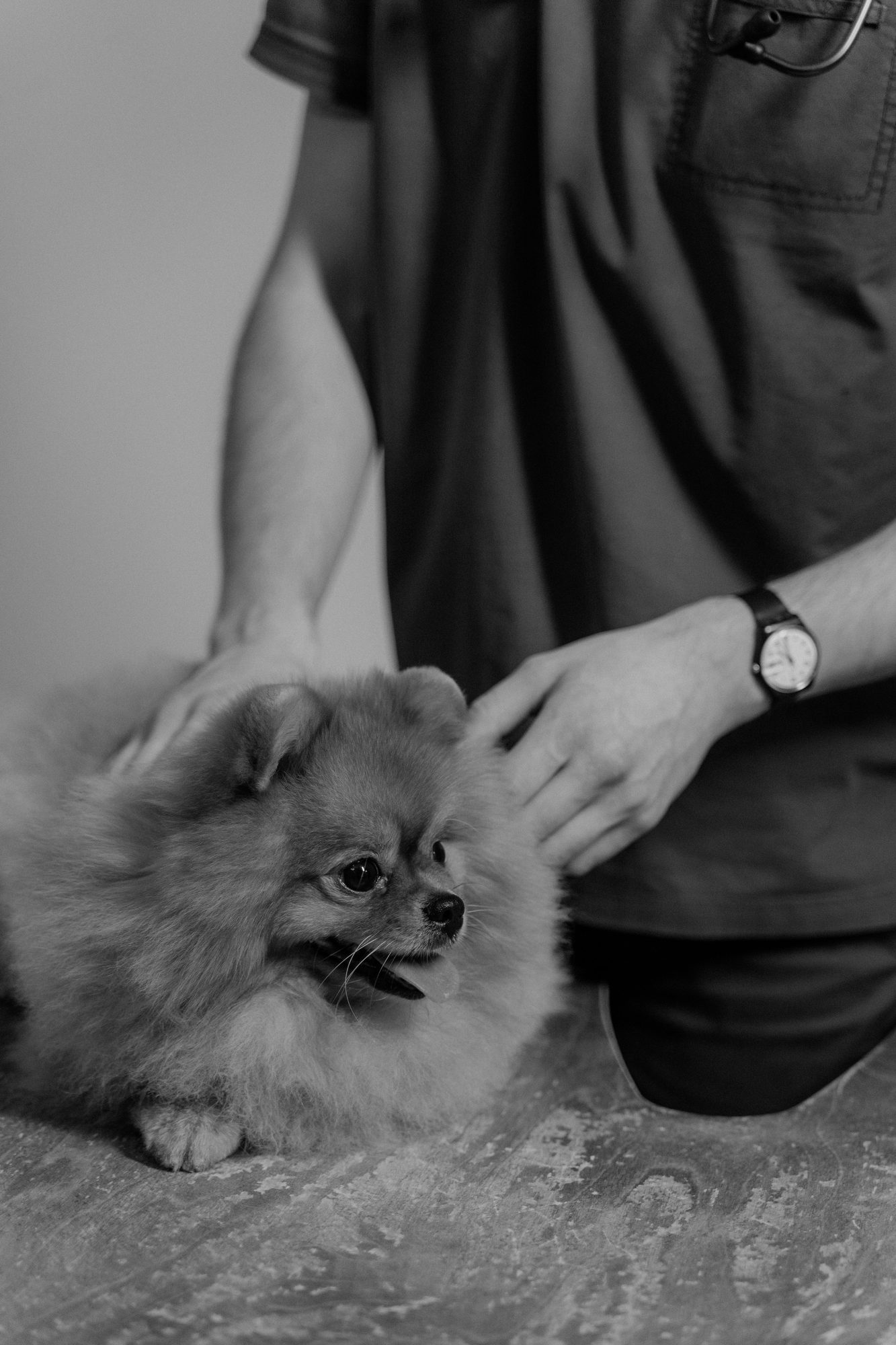 A person gently handling a small dog as part of a calm bathing routine