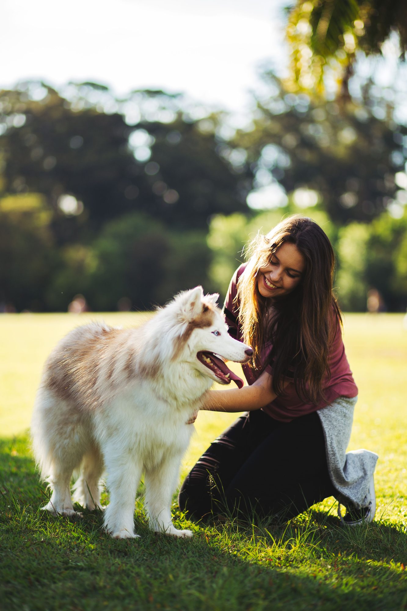 A person sitting with a dog outdoors while preparing for life with a new dog