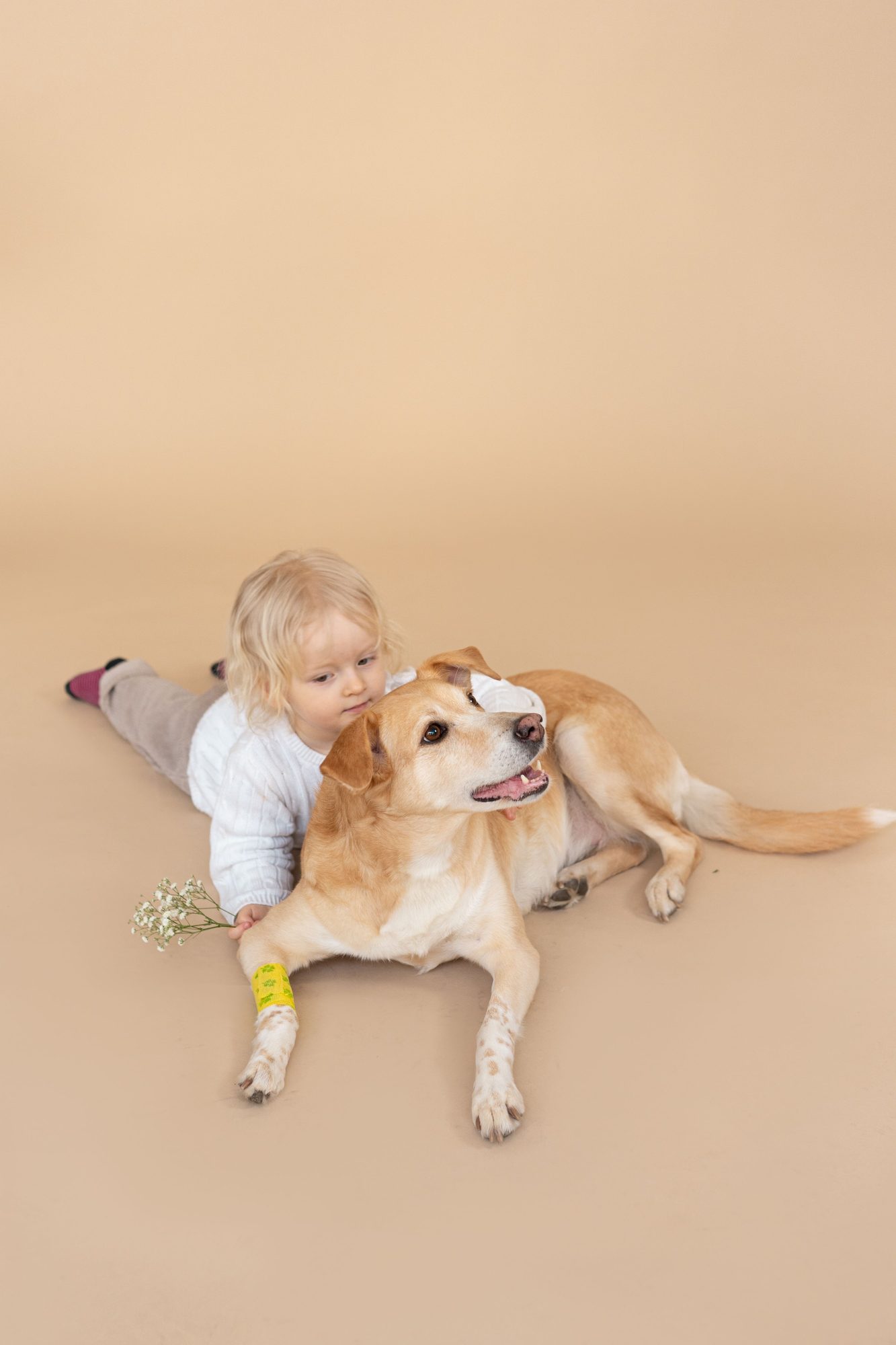 A child sitting beside a relaxed dog while getting settled into a new home