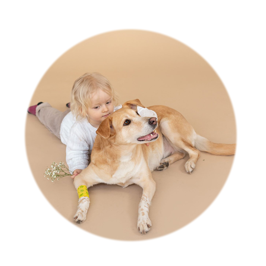 Pet Care care illustration